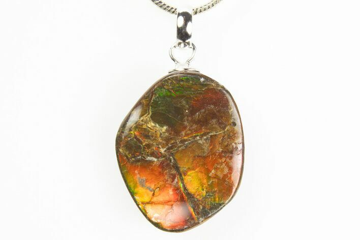 Brilliant Ammolite Pendant (Necklace) - Alberta, Canada #312483